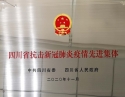 2020.10四川省委省人民政府_四川省抗击新冠肺炎疫